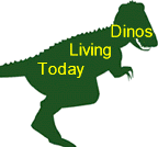 Dinosaurs Living Today